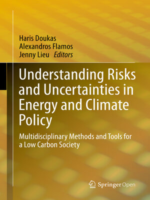 cover image of Understanding Risks and Uncertainties in Energy and Climate Policy